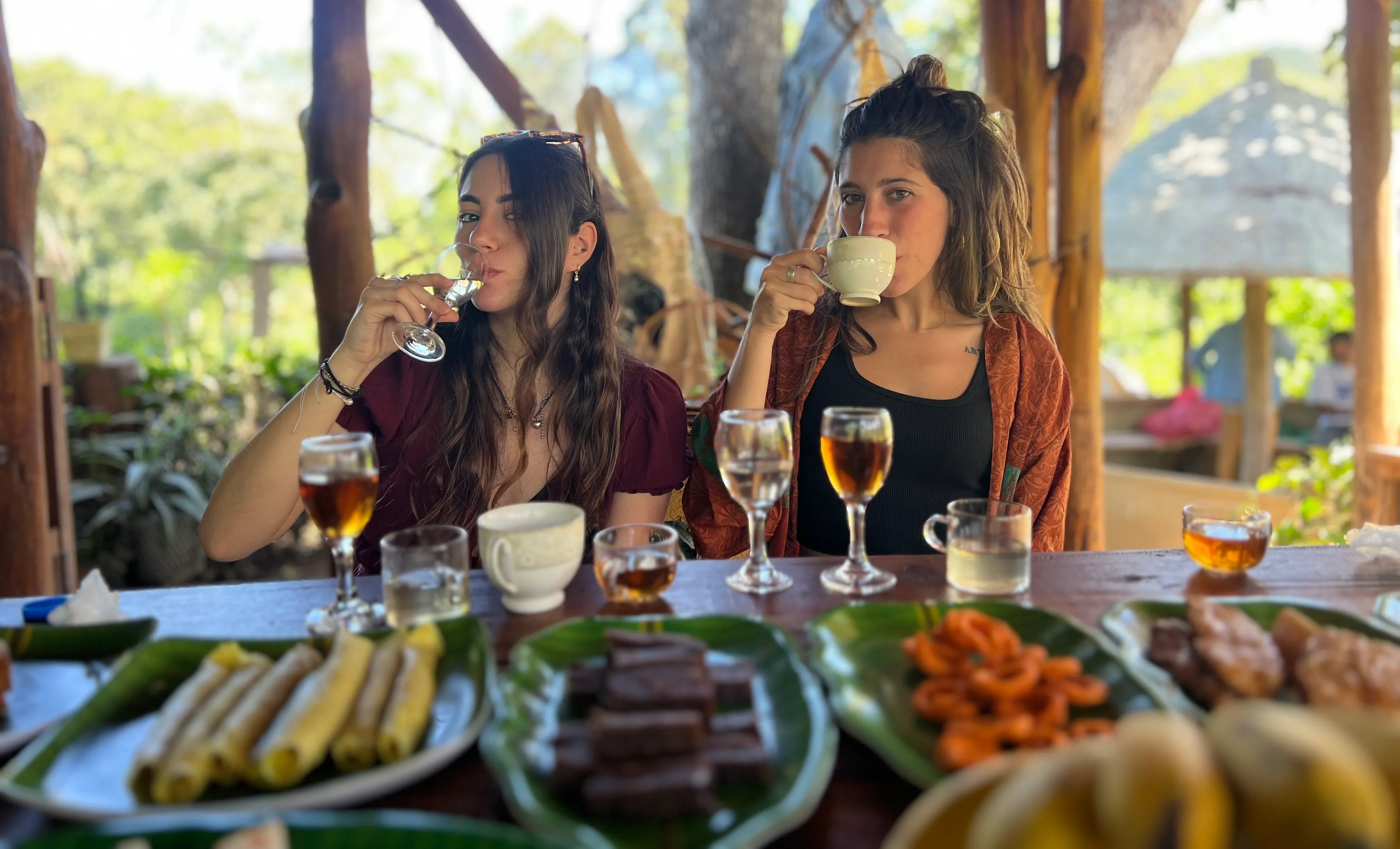 Organic Tea Queen estate in Ella, Sri Lanka